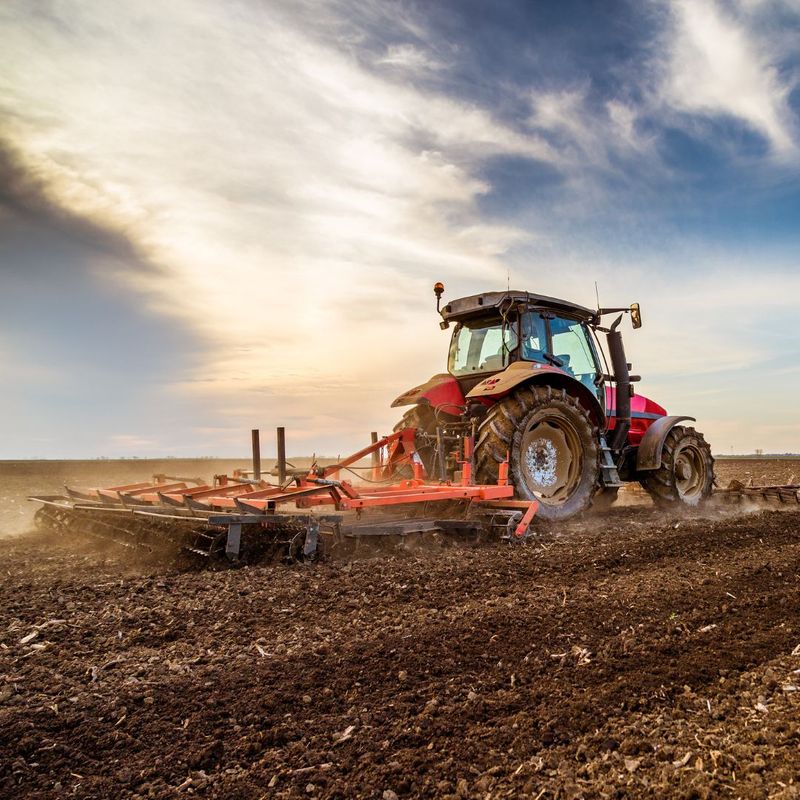 The Importance of Cultivator Shovels in Modern Farming - Richmond